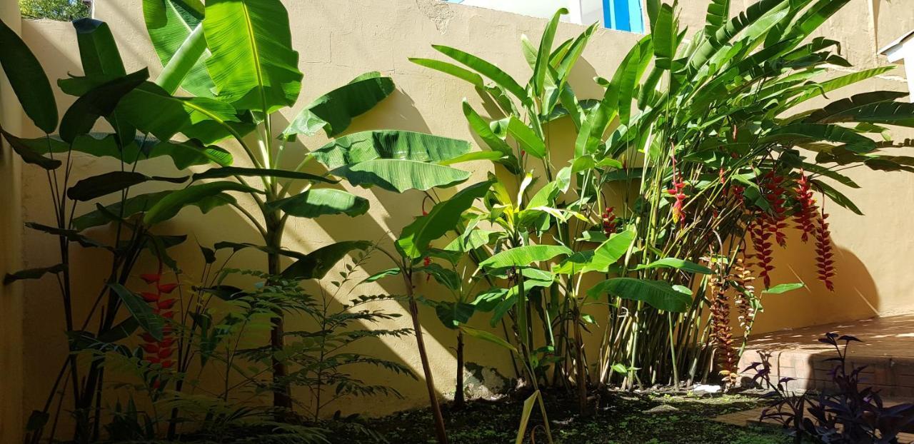 Mh Boutique Hotel San Pedro Sula Exterior photo