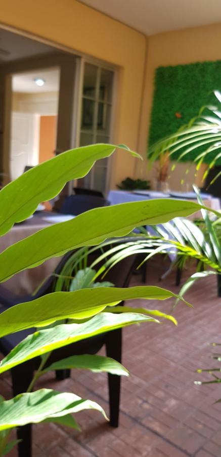 Mh Boutique Hotel San Pedro Sula Exterior photo